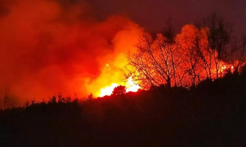 Ηλεία: Πύρινο μέτωπο στο Λιβαδάκι - Εκκενώνεται προληπτικά - Ενισχύθηκαν οι πυροσβεστικές δυνάμεις